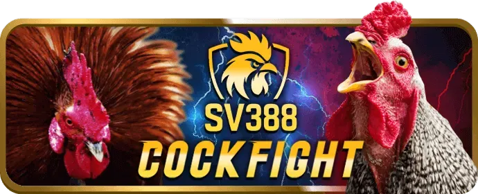 Tại sao chọn tile bong88 - Đa dạng game và tỷ lệ cược tốt